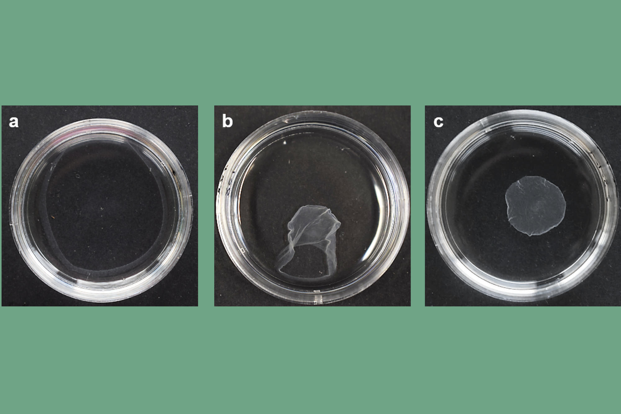 Im Experiment funktioniert das Verfahren bereits.
