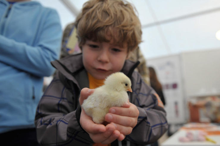 In der elften Langen Nacht der Wissenschaften besuchten viele Tausend Kinder und Erwachsene die Labore und Institute der Freien Universität. Besonders großer Andrang herrschte bei den Veterinärmedizinern.