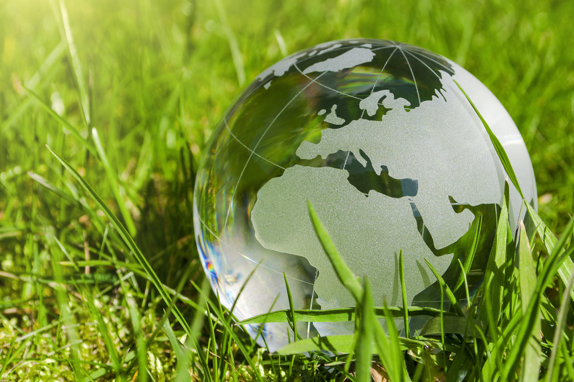 Unter dem Dach der „University Alliance for Sustainability“ rückt die Freie Universität gemeinsam mit ihren strategischen Partneruniversitäten „Nachhaltigkeit“ als Querschnittsthema in den Fokus.