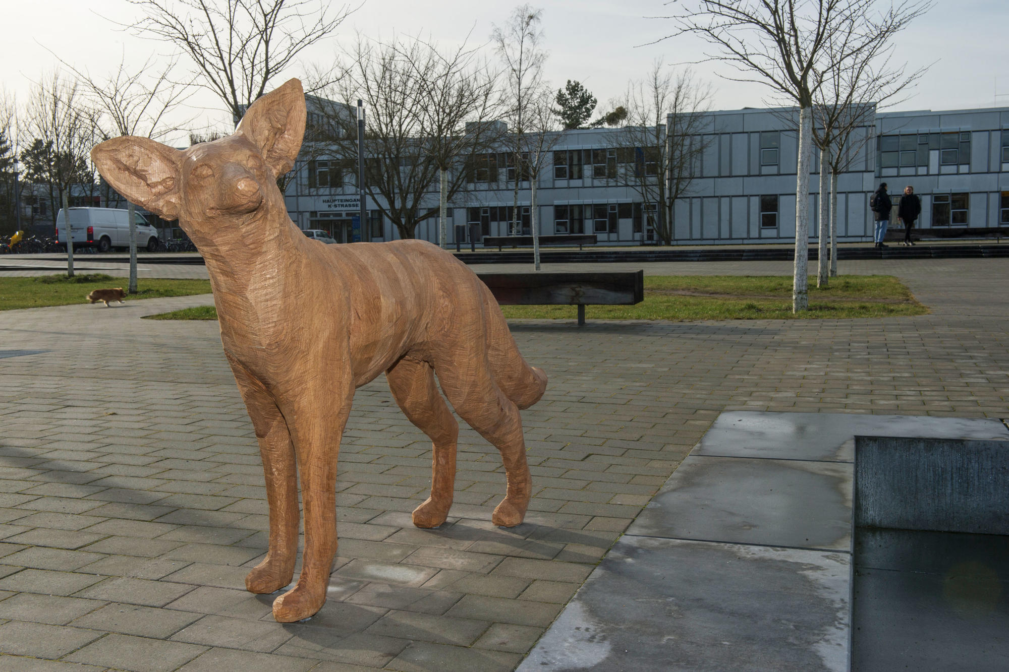 Der Kojote ist aus Eichenholz gefertigt. Er wird sich mit der Zeit verfärben und dem Grau der Holzlaube ähneln.