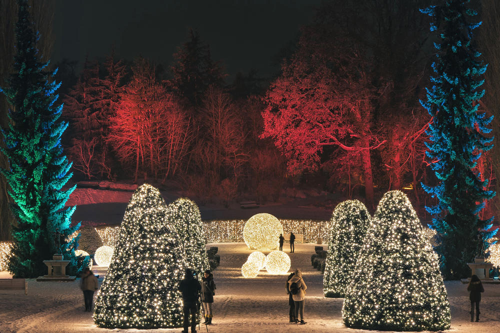 In Farbe und Licht getaucht: So sieht der Botanische Garten noch bis zum 6. Januar aus.