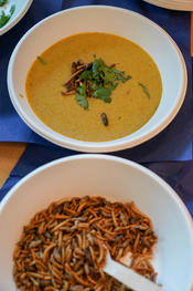 Guten Appetit: Insekten gelten als Lebensmittel der Zukunft, bei der Langen Nacht wurden sie auch als Beilage serviert.