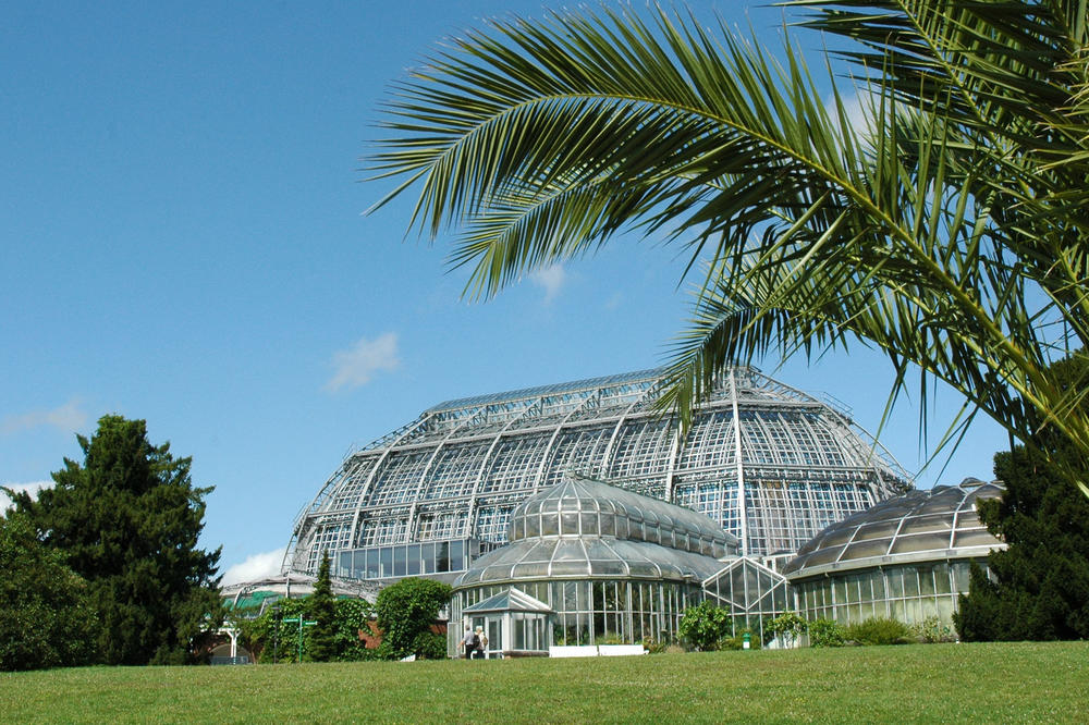 Auf dem Gelände des Botanischen Gartens zeigten...