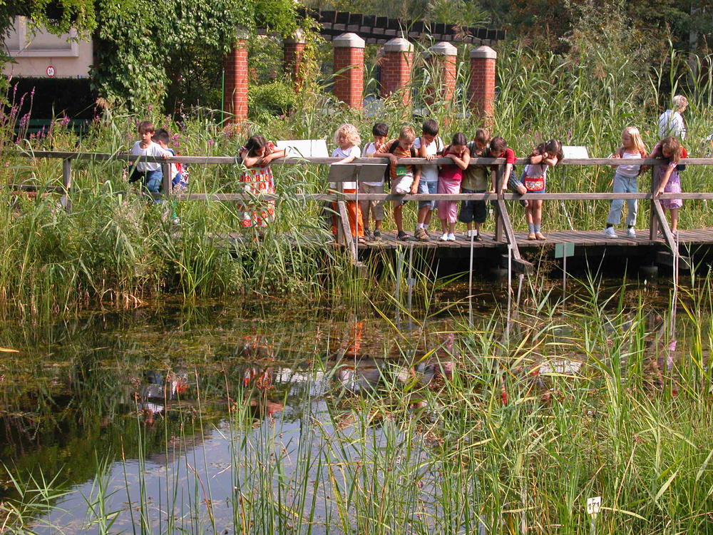 Ein Spaziergang im Botanischen Garten im Frühling ist ein besonderes Erlebnis. Derzeit muss der Garten für Besucher aber geschlossen bleiben.