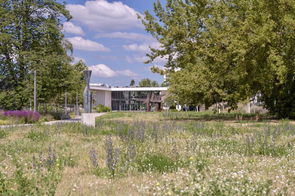 Der blühende Campus zwischen Veggie-Mensa und Henry-Ford-Bau.
