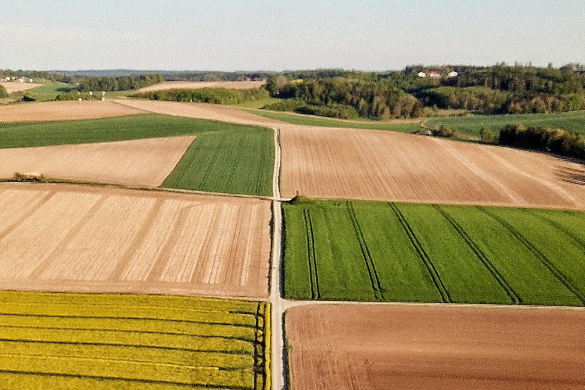Monokulturen ohne Rückzugsflächen für Tiere: Landwirtschaft wie diese ist für Biodiversität problematisch.