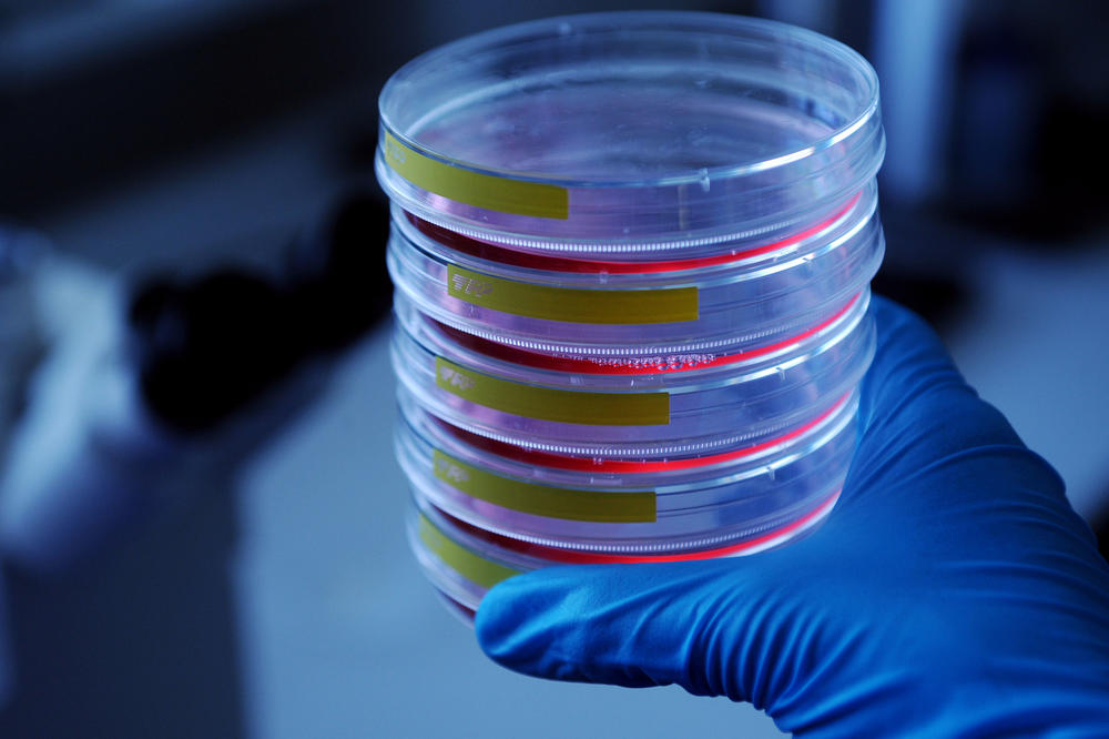 Exportkontrollrechtlich relevant? Das muss bei Forschung, die dual genutzt werden kann, geprüft werden.