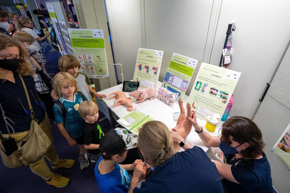 Blutabnahme am Tiermodell: Ein Test für künftige Ärztinnen und Ärzte der Veterinärmedizin.