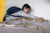 An der Station der Archäozoologie puzzelt Florentin mit Schafsknochen.