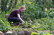 Marlene kümmert sich um Kohl und Kresse im Beet: Grünes Blattgemüse ist das reinste Superfood.