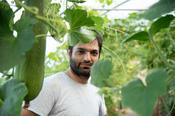 Noorullah arbeitet auch im Folientunnel: Unter dem Dach wachsen unzählige Sorten Obst, Gemüse und Kräuter.