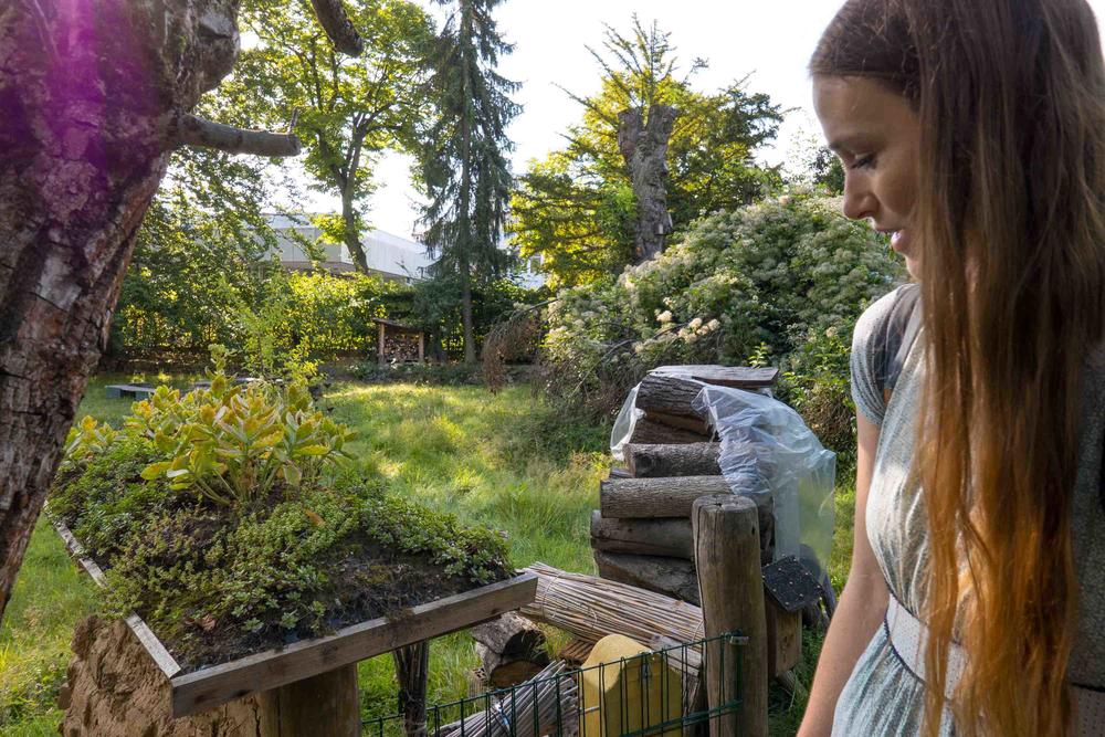 Ein Stück Campusnatur: Die Blätterlaube ist ein ökologischer Lern- und Begegnungsort mit Hochbeeten, Benjeshecke, Schmetterlingsspirale, Vogel-, Wildbienen- und Fledermausnisthilfen.