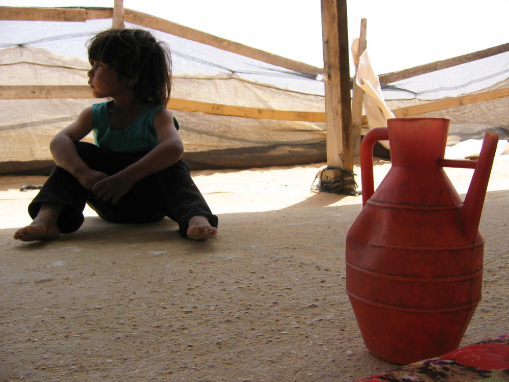 Wasserknappheit, wie hier in der Wüste Negev in Israel, ist eines der zentralen Probleme im Nahen Osten. Eine gerechte Ressourcenverteilung könnte zum Frieden in der Region beitragen, sagt Avi Gottlieb.