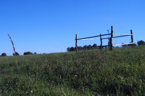 Grünlandfäche im Exploratorium Hainich-Dün mit eingezäunter Wettermessstation.