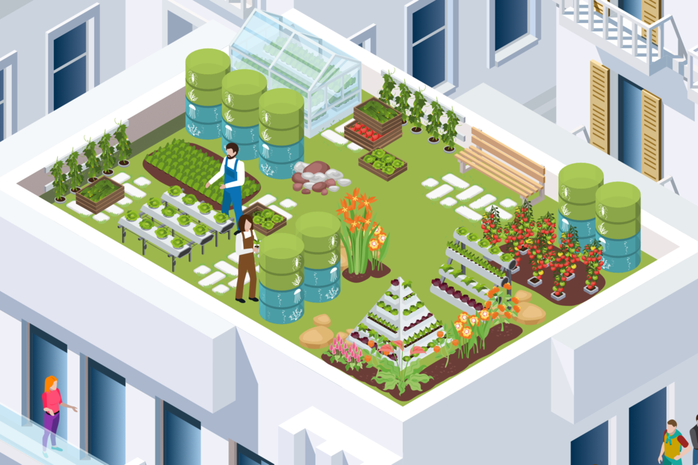 Algen- und Quallenzüchtung auf dem Dachterrasse: Sieht so die Zukunft der urbanen Nahrungsmittelproduktion aus? Im Mitmach-Experiment gibt es einen Einblick in die Forschungsthemen von food4future.