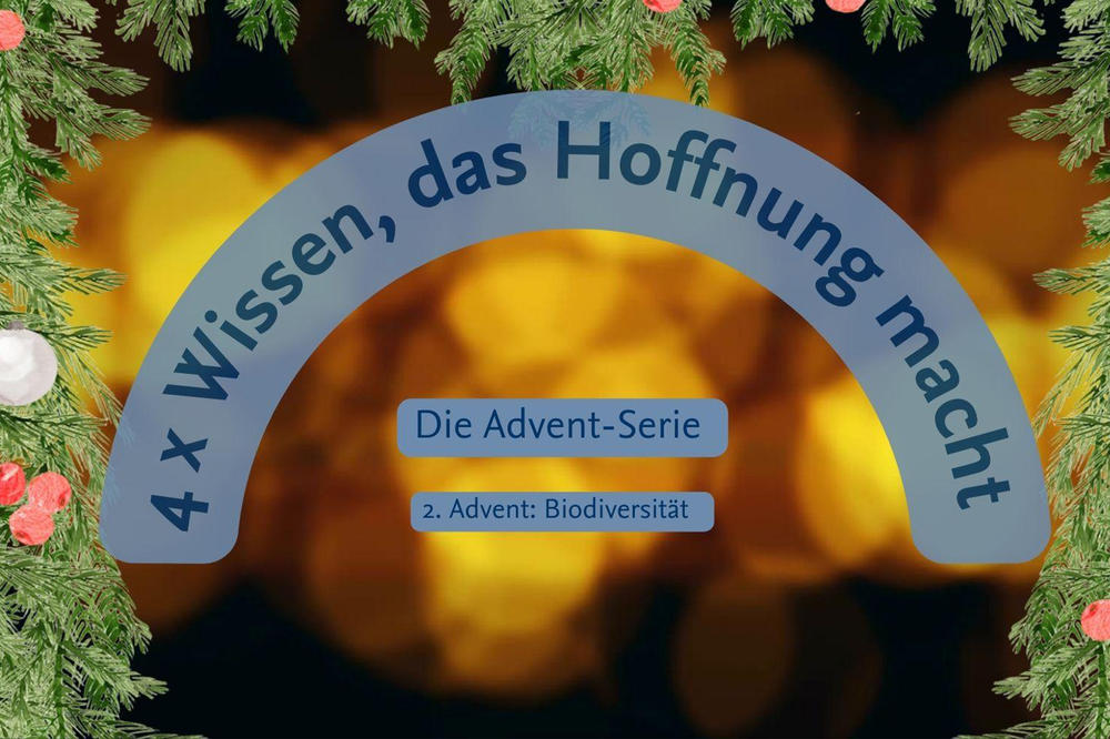 Es ist nicht alles so düster, wie es scheint: In campus.leben stellen wir in der Adventszeit vier Forschungsthemen vor, die Hoffnung geben.