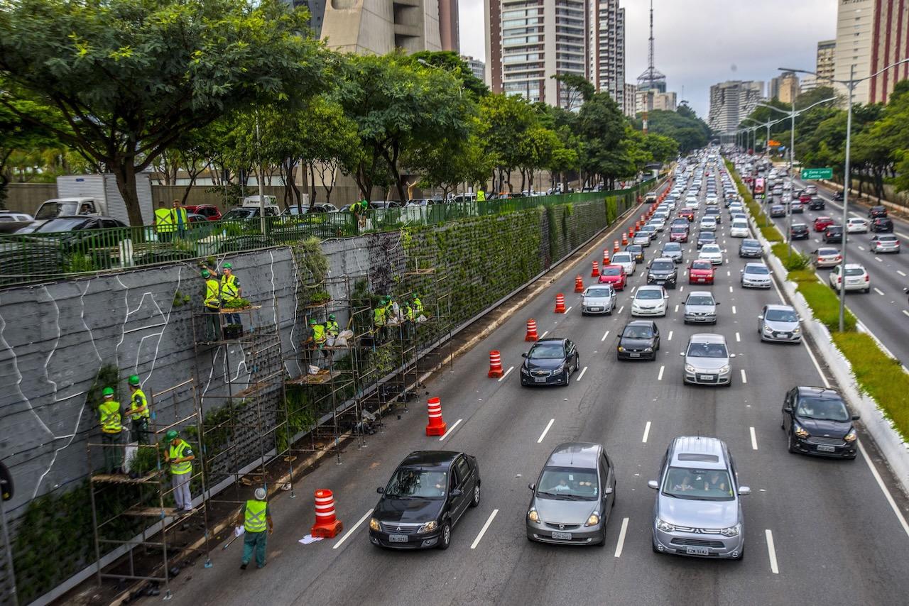 2017 ließ die Stadtverwaltung von São Paulo vertikale Flächen begrünen. Gepflanzt wurden etwa 30 Arten, darunter Basilikum, Rosmarin, Oregano, Iris, Buntnessel und Lilie. Durch die brasilianische Metropole fahren täglich fast 100.000 Fahrzeuge.