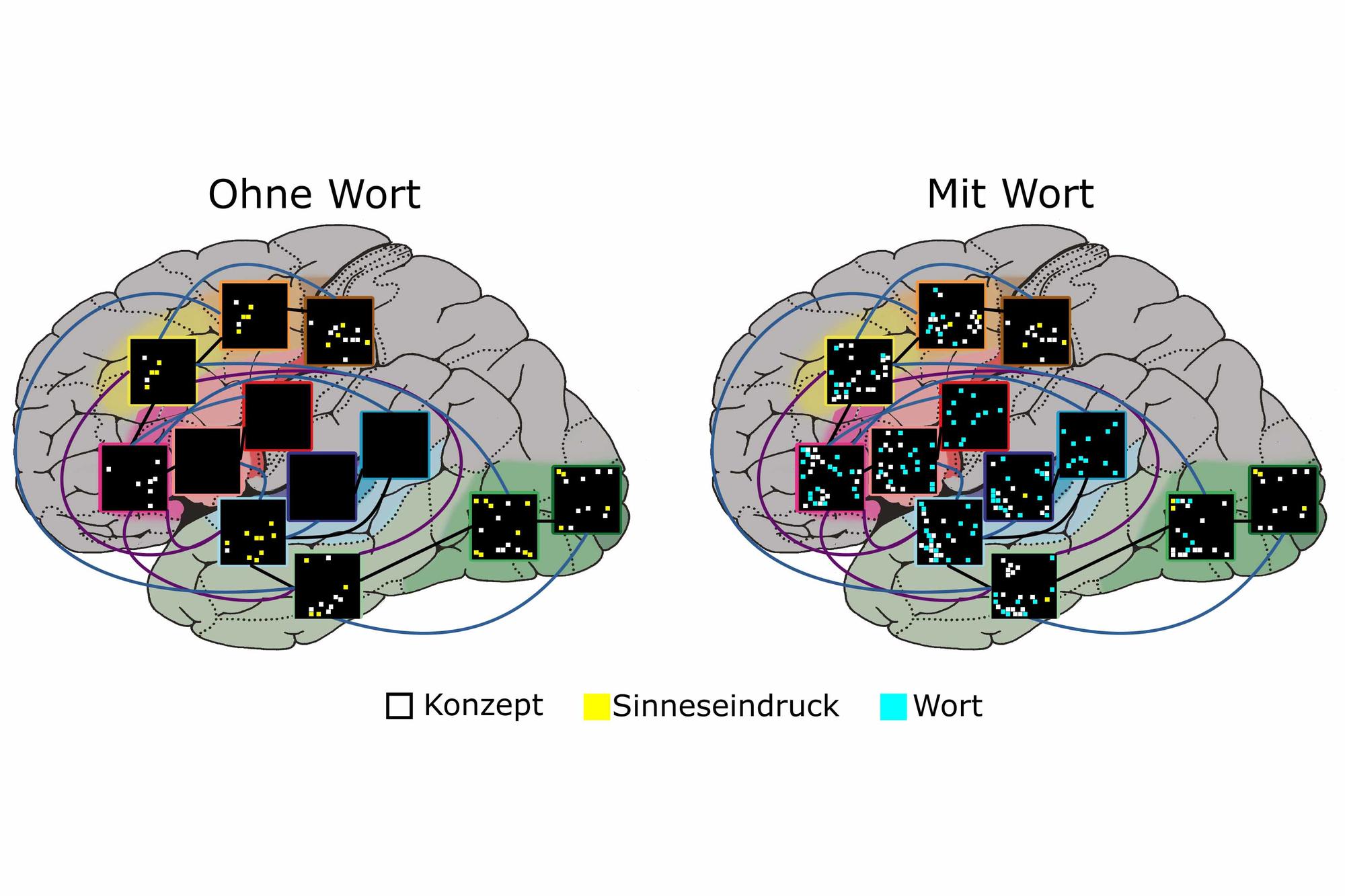 Diagramme neuronaler Repräsentationen