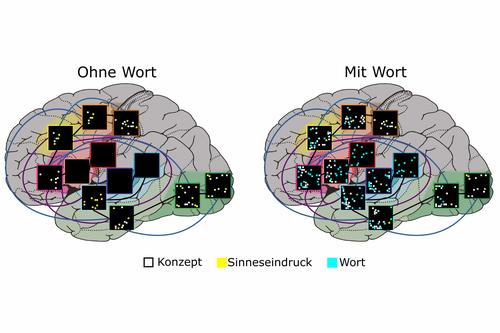 Diagramme neuronaler Repräsentationen