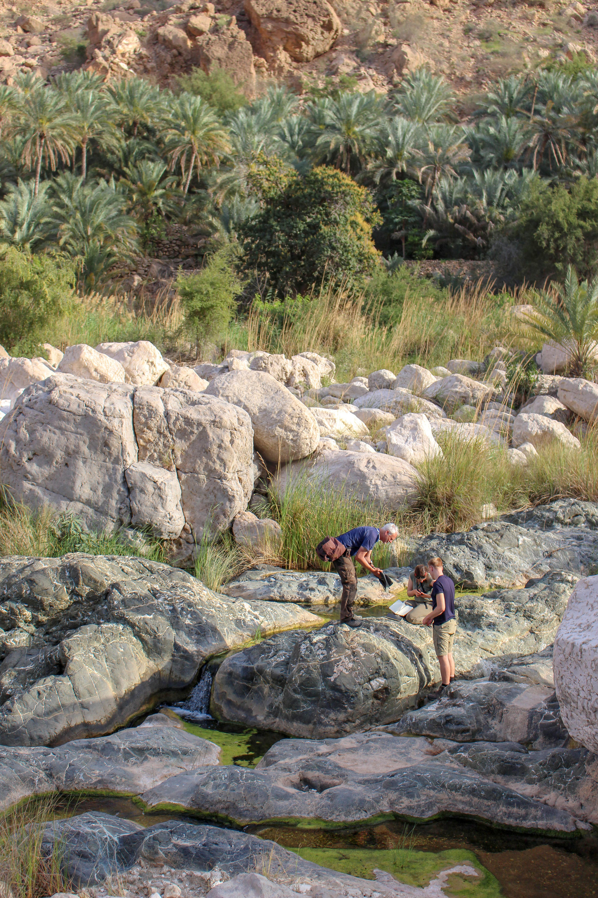 Abwechslung von der überwiegend kargen Vegetation sind Flussbetten, sogenannte Wadis, wie das Wadi Tiwi.