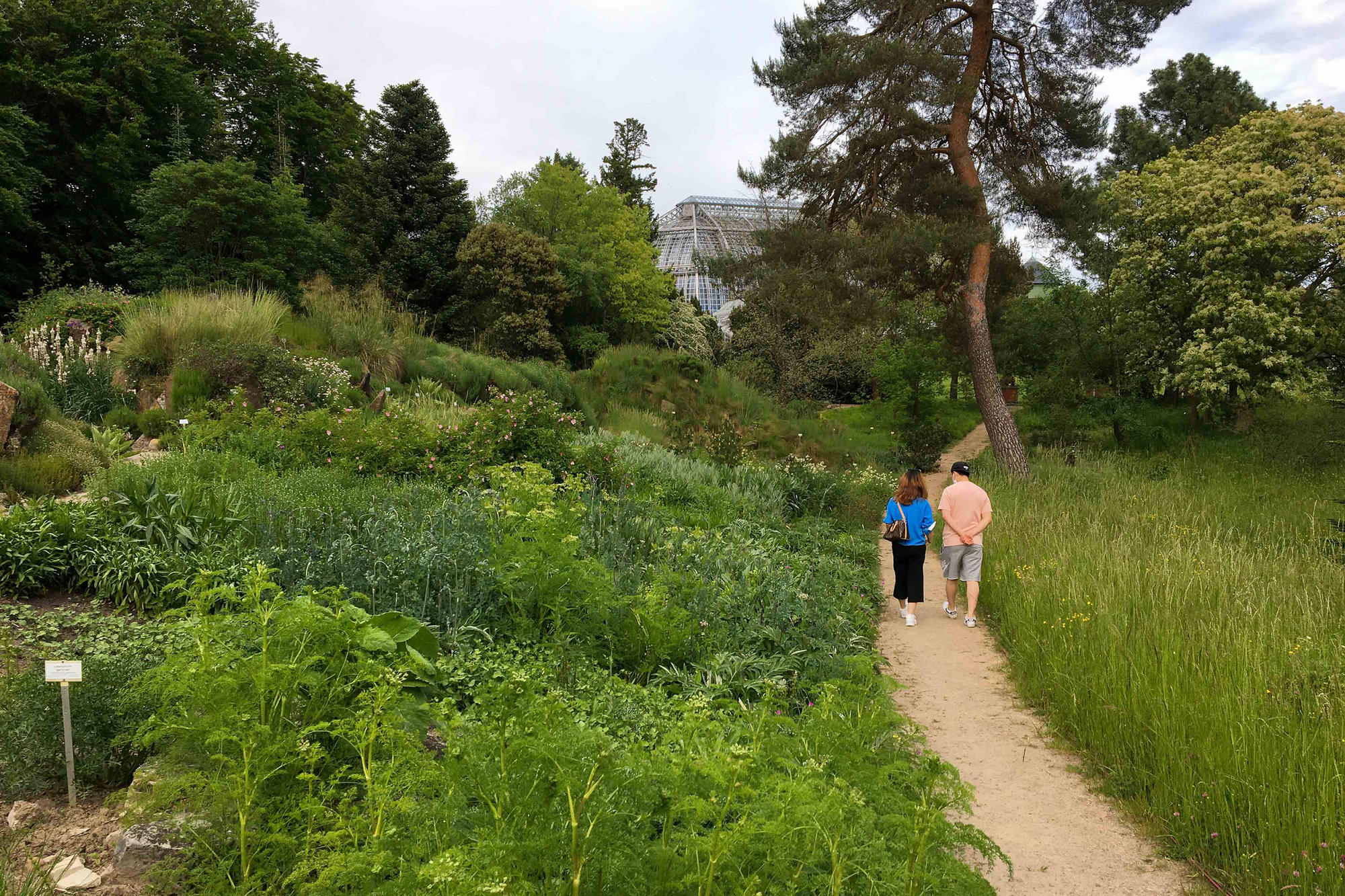 Der Botanische Garten ist „ein einzigartig schöner Arbeitsplatz“, findet Annika Cory.