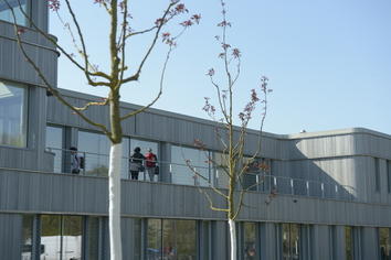 The degree program in Korean studies aims to provide students with knowledge and skills encompassing a broad spectrum of Korean studies.