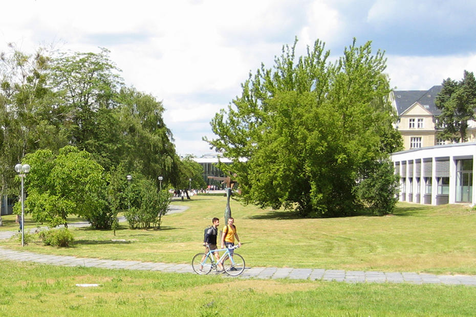 The Department of Law at Freie Universität is divided into three areas: civil law, criminal law, and public law.
