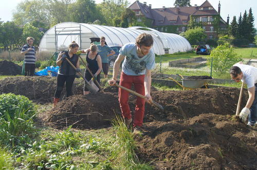 ... how even with very limited space it is possible to grow produce. The project was developed as part of a seminar on knowledge and activism at the Otto Suhr Institute.