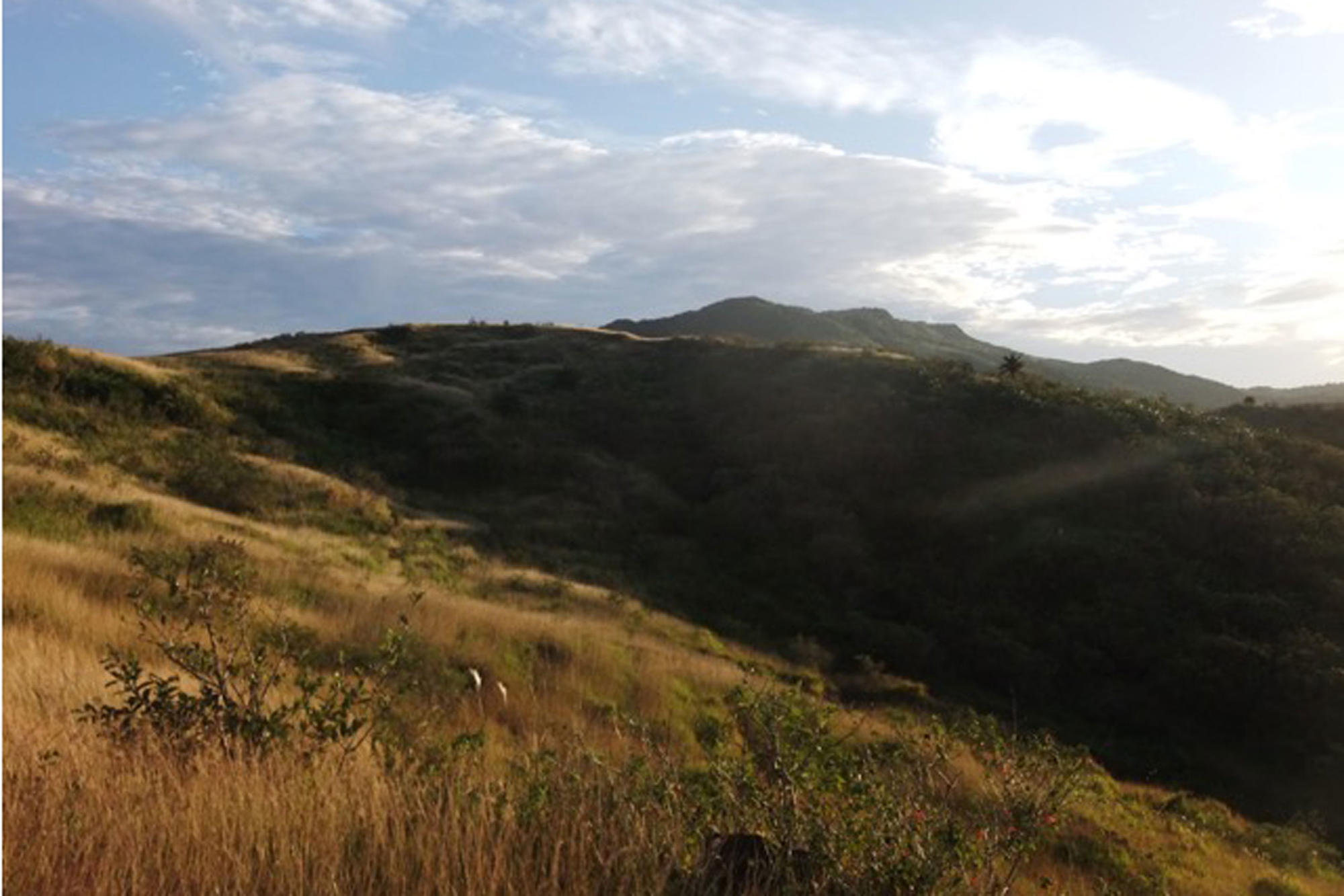 ... toward the mountains.