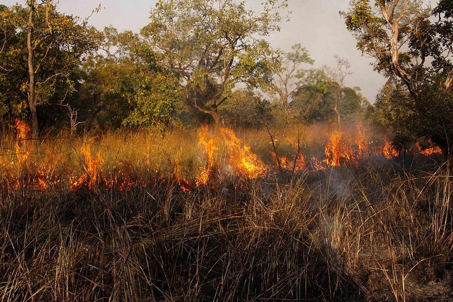 Humans were extensively using fire to alter the landscapes around them as early as 50,000 years ago in Eurasia.