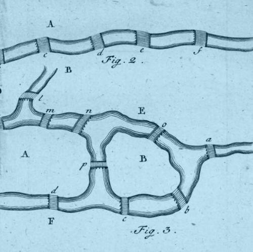 enlightenment_decentred