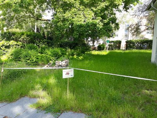 Blooming Campus Schwendenerstr. 17