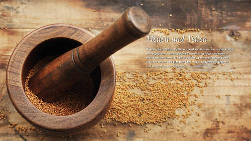 Heilen und Teilen: Das Wissen über Medizinpflanzen ist alt, seine Vermarktung folgt modernen Mechanismen. Forscher nehmen lokale und globale Akteure in den Blick.