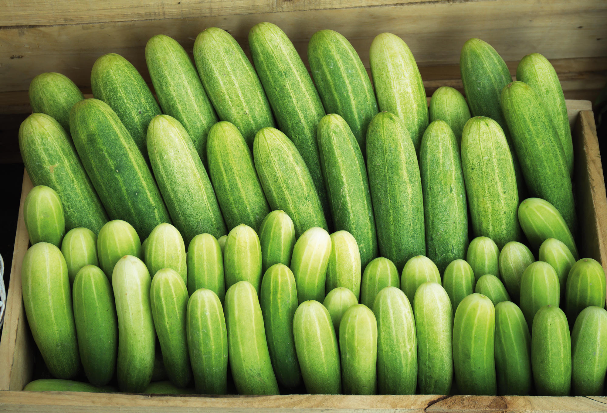 Die „Gurkenkrümmungsverordnung“, die 1988 verabschiedet wurde, ist zwar schon seit 2009 nicht mehr in Kraft, dennoch gilt sie bis heute als Paradebeispiel für europäische Regulierungswut.