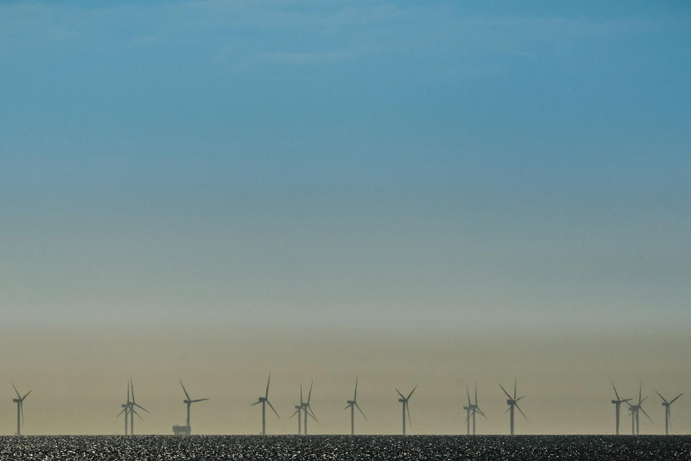 Nachhaltigkeit spielt eine große Rolle am Forschungszentrum für Umweltpolitik der Freien Universität