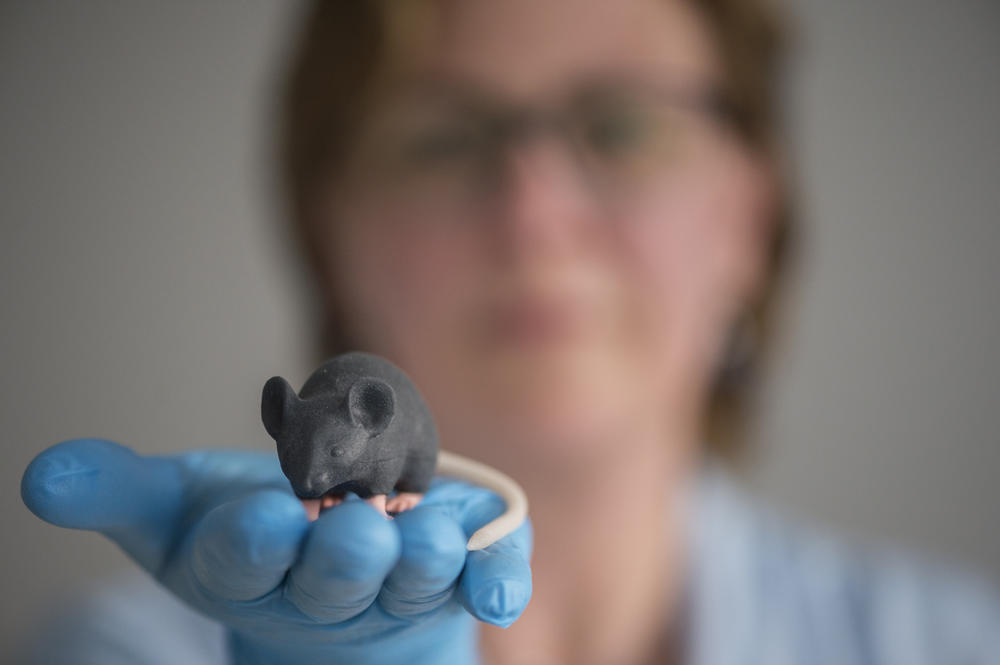 Das Modell einer Maus ist dem echten Tier sehr genau nachempfunden.