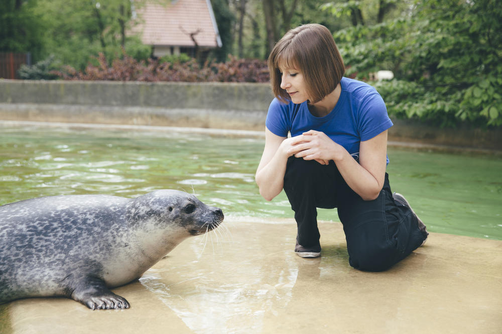 Miriam Stach erforscht Augenerkrankungen bei Robben, die in menschlicher Obhut leben.