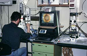 Mikroskopierarbeitsplatz 