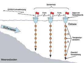 Abbildung 4: Sensorknoten, wie er in die Bojen eingebaut wird 