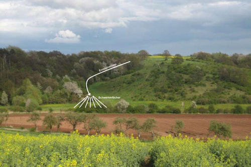 Blick auf eine Erosionsrinne mit sogenanntem Schwemmfächer. Erosionsrinnen bildeten sich häufig entlang von Wegen, die senkrecht zu Hängen verliefen: Hier – an den kürzesten Wegen zwischen Siedlung und Ackerfläche.