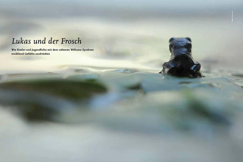 Eine Bildergeschichte ist wichtig für die Studie am Exzellenzcluster Languages of Emotion.