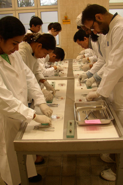 Aus dem Campus Berlin-Düppel finden Grundausbildungsgänge für Wissenschaftler aus Schwellen- und Entwicklungsländern statt.