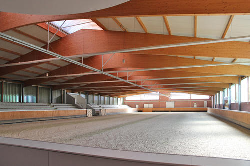 Eine große Reithalle gehört zum Kompetenzzentrum für Pferdezucht und –wissenschaften der Freien Universität im brandenburgischen Bad Saarow.