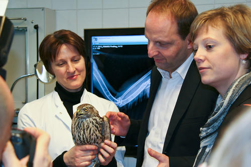 Oberärztin Kerstin Müller (li.) zeigt Berlins Justizsenator Thomas Heilmann und der Abgeordneten Cornelia Seibeld einen verletzten Habicht.