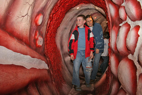 Innenansichten: Bei der Langen Nacht der Wissenschaften können Besucher durch den sogenannten begehbaren Darm spazieren.