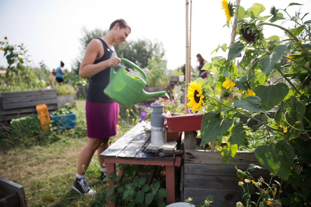 Bewusst ökologisch: Viele alternative Initiativen sorgen sich um die Natur und wollen der dominanten Konsumgesellschaft etwas entgegensetzen. Das Foto zeigt ein Urban- Gardening-Projekt auf dem Tempelhofer Feld in Berlin.
