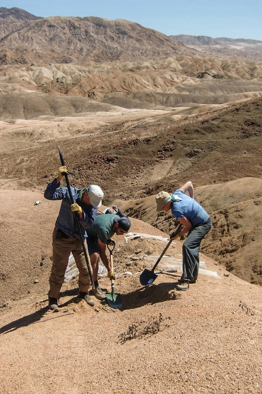 Schwerstarbeit: Wissenschaftler untersuchen den Boden im ariden Nationalpark Pan de Azúcar in Chile. Die stark zerfurchte Landschaft entsteht, wenn bei den seltenen Niederschlägen aufgrund der fehlenden Vegetation viel Sediment abgetragen wird.