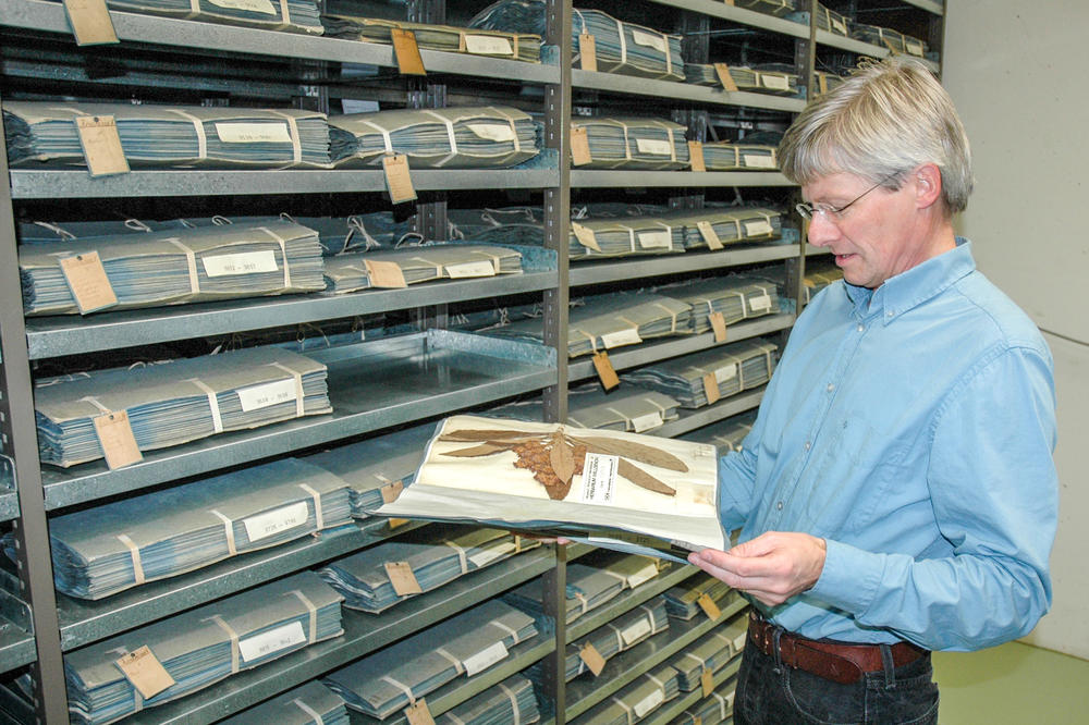 Mitgebrachter Schatz. Das Herbarium im Botanischen Garten enthält Belege von 3360 Pflanzenarten der Amerikareise Alexander von Humboldts. Gepflegt werden sie von Kustos Robert Vogt.