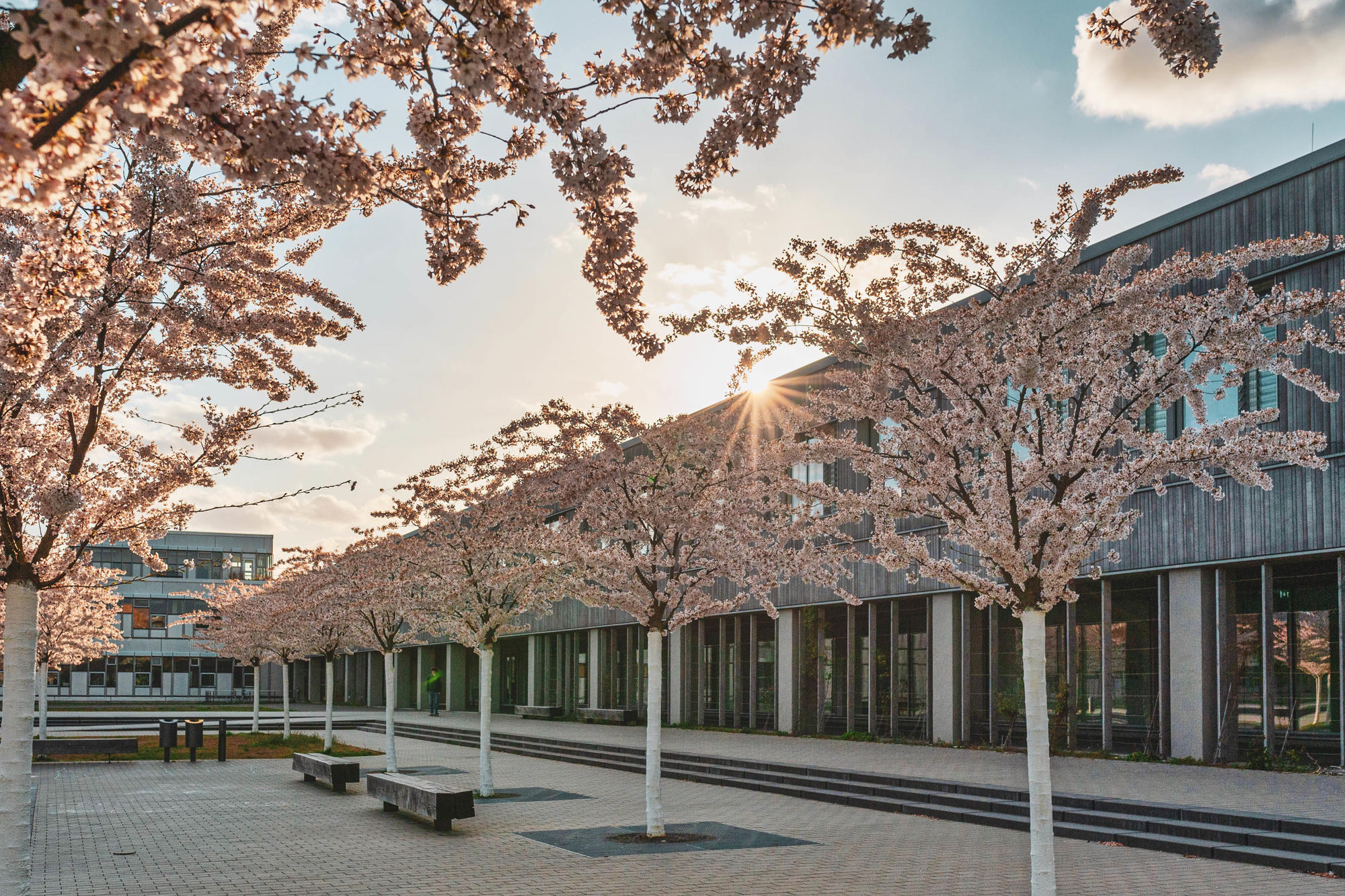 Keine Studierenden nirgends. Der Platz vor der Holzlaube ist in diesen Tagen verwaist, Campusbibliothek und Erziehungswissenschaftliche Bibliothek sind wie alle Gebäude geschlossen.