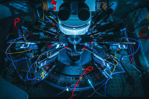 Komplexe Forschung anschaulich erklären. Die Apparatur des Exzellenzclusters NeuroCure ermöglicht die synchrone Messung von acht Nervenzellen.